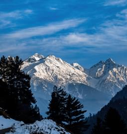 15 Things to Do in Kashmir in December You Must Try!