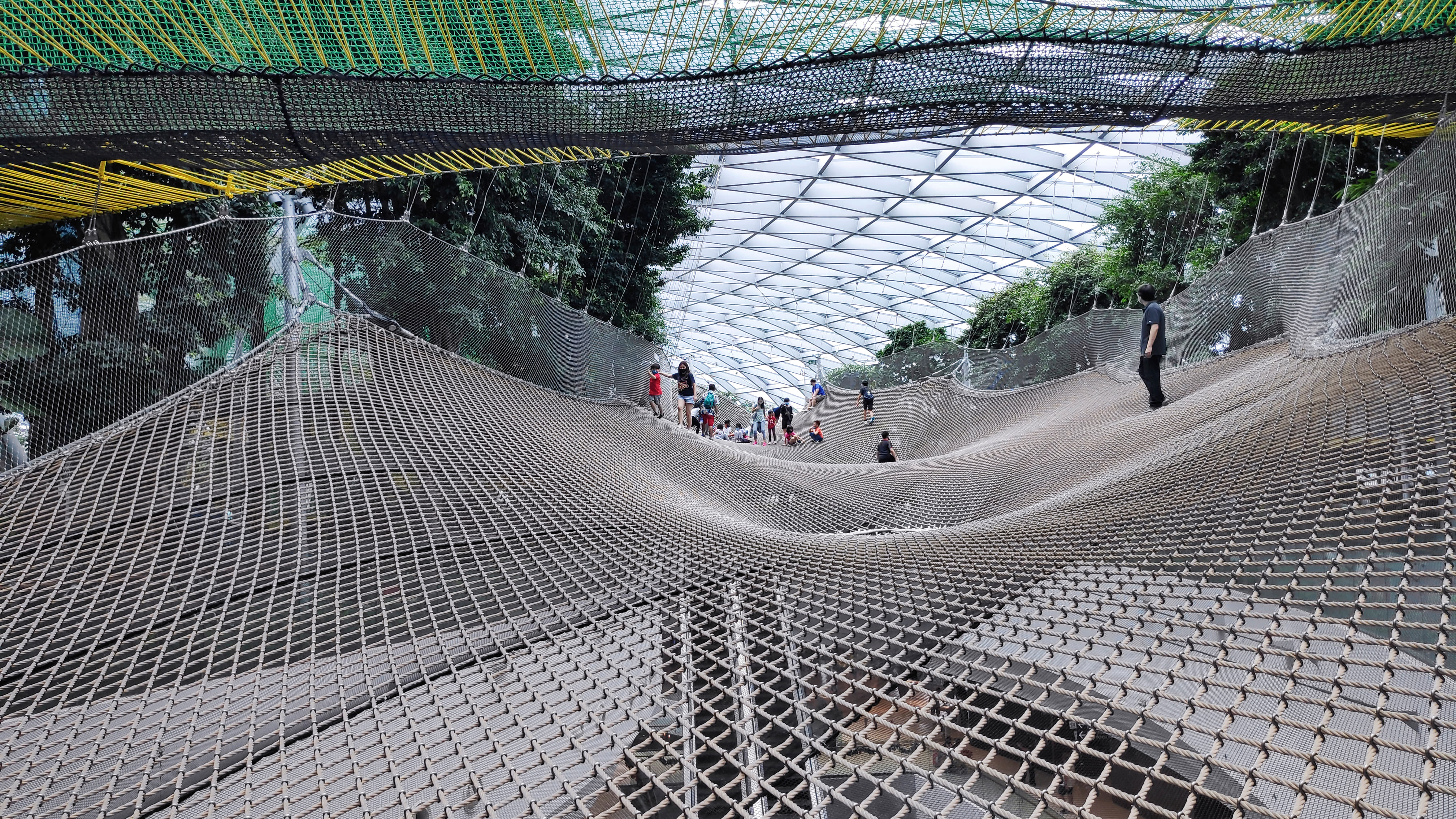 . Check out the Giant trees from SPH Walk of the Giants