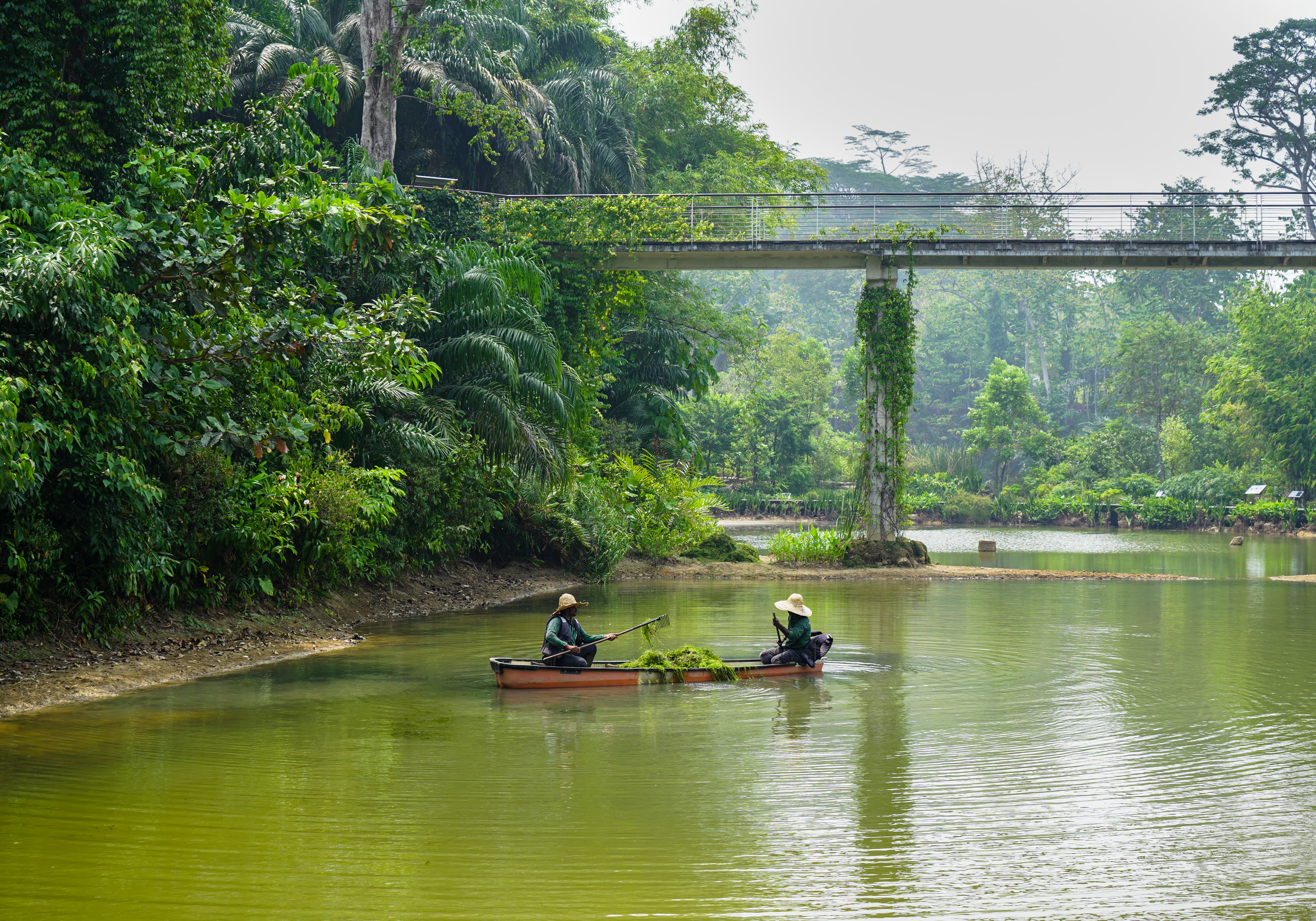  Experience the beauty of Tanglin Gate
