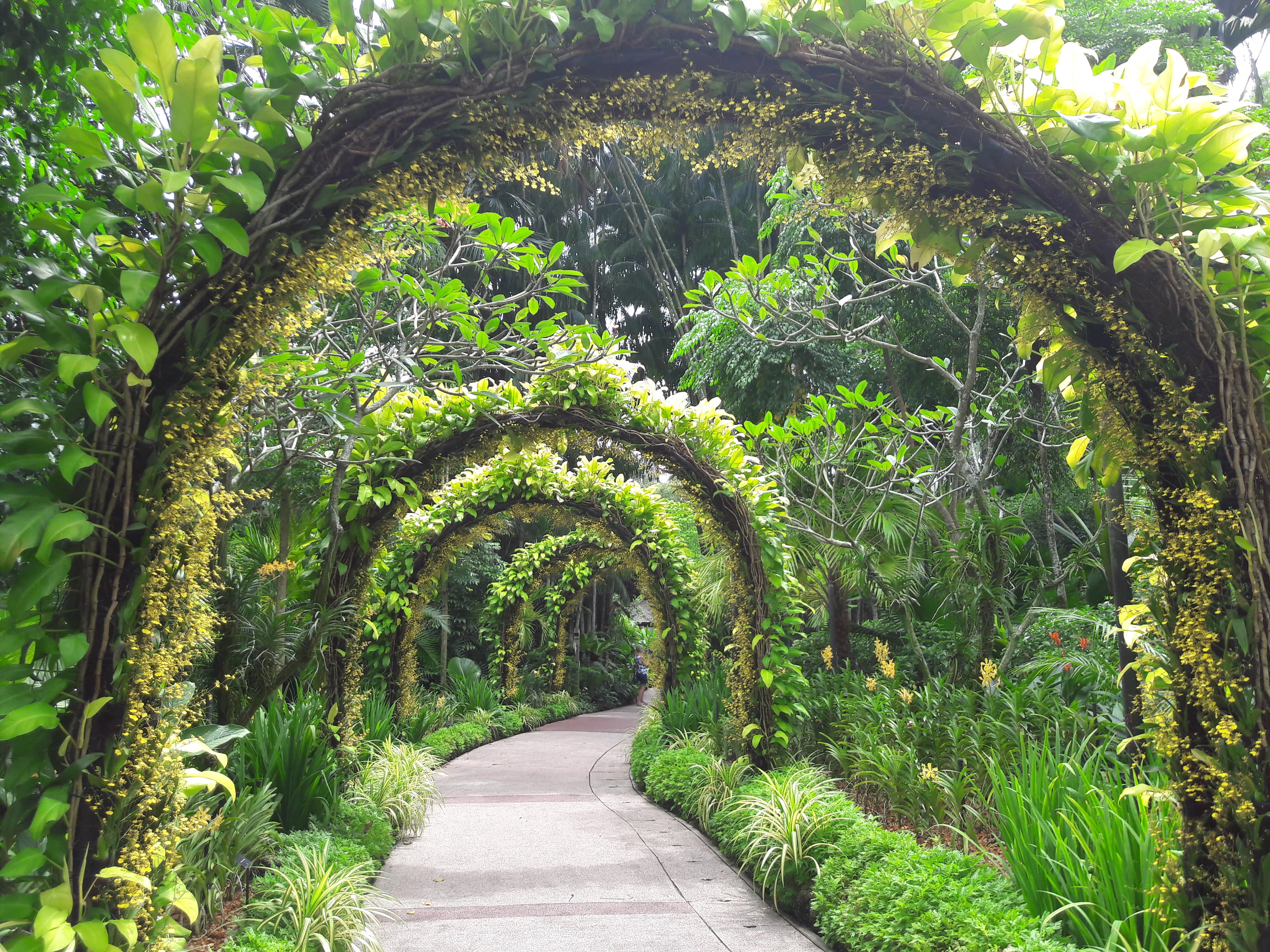  Discover Ethnobotany Garden