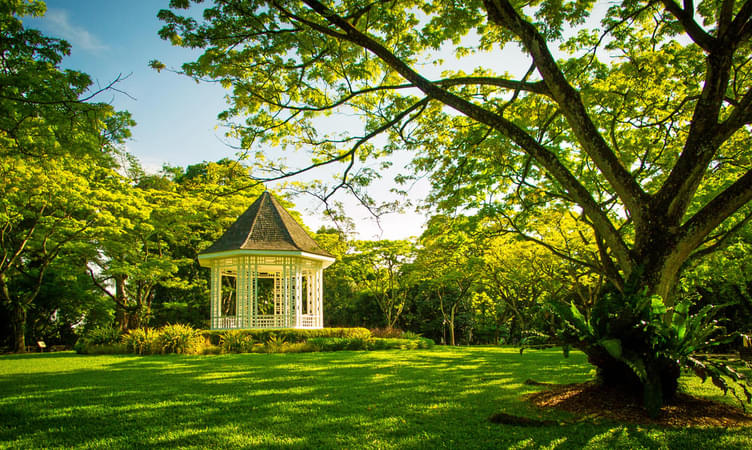 Stroll at Singapore Botanic Gardens