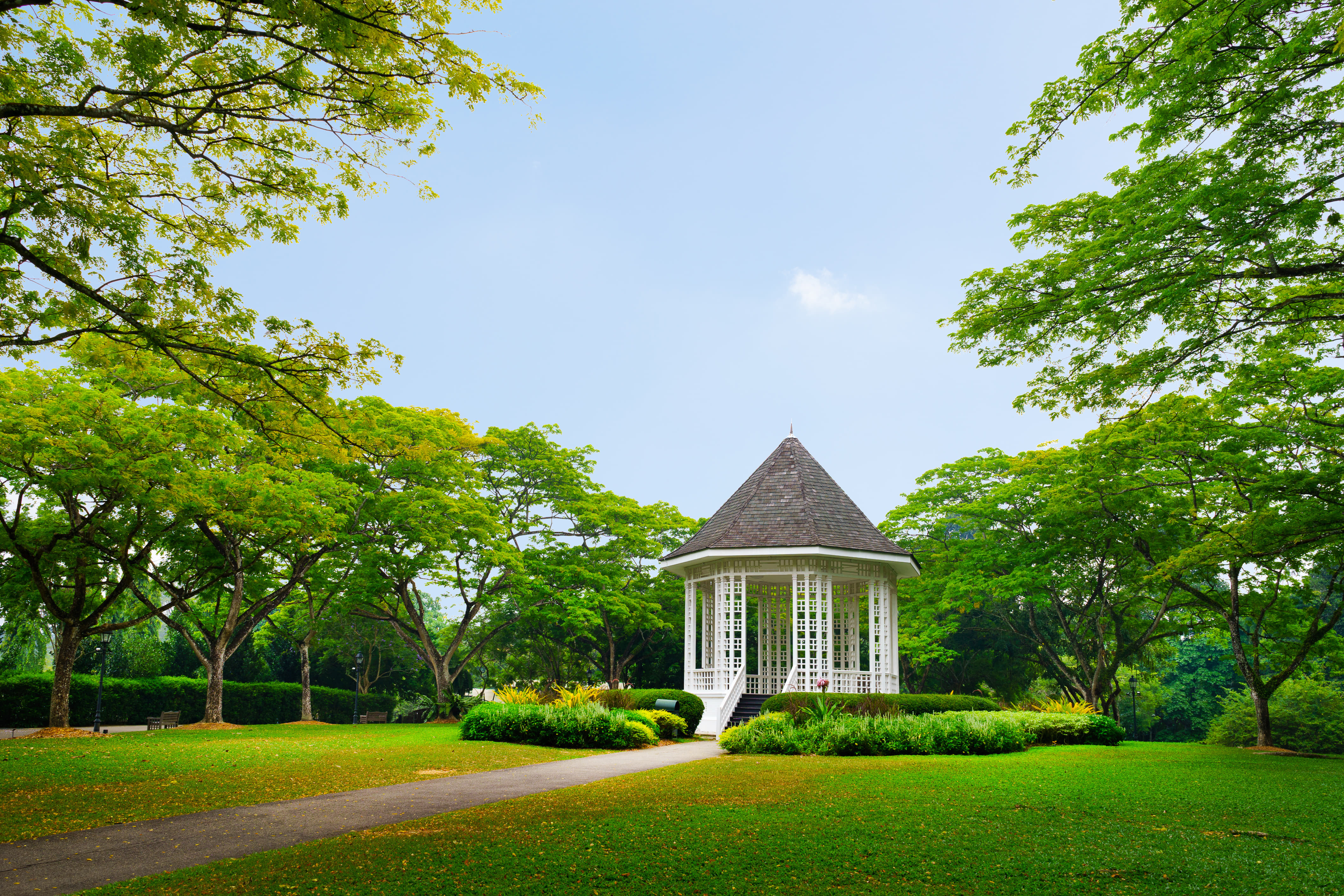 Take a Stroll Through the Singapore Botanic Gardens