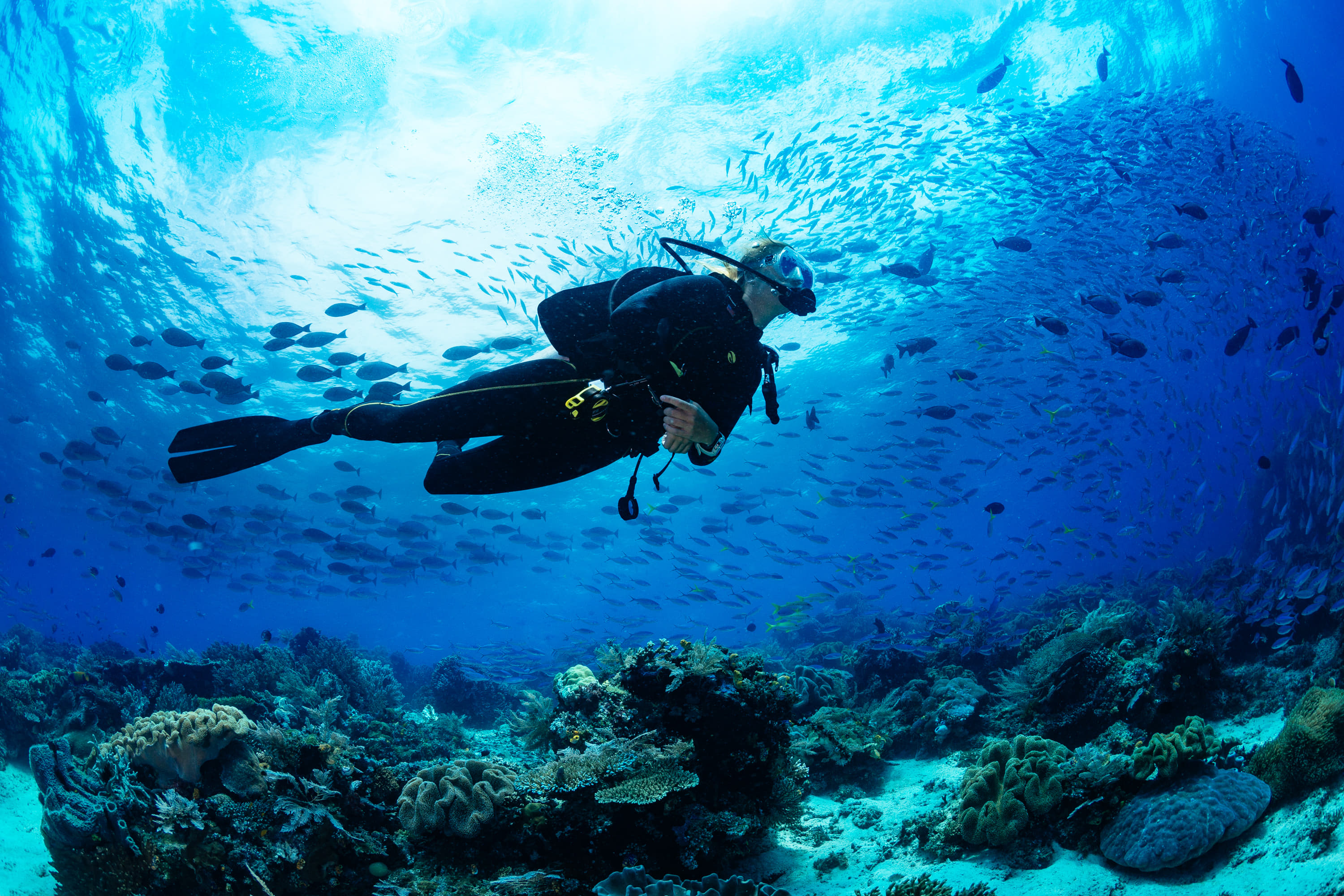 Scuba Diving Adventure