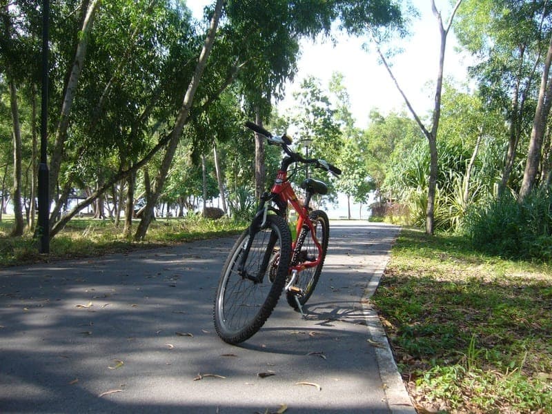 Explore the Green Boulevards Together on a Cycling Tour