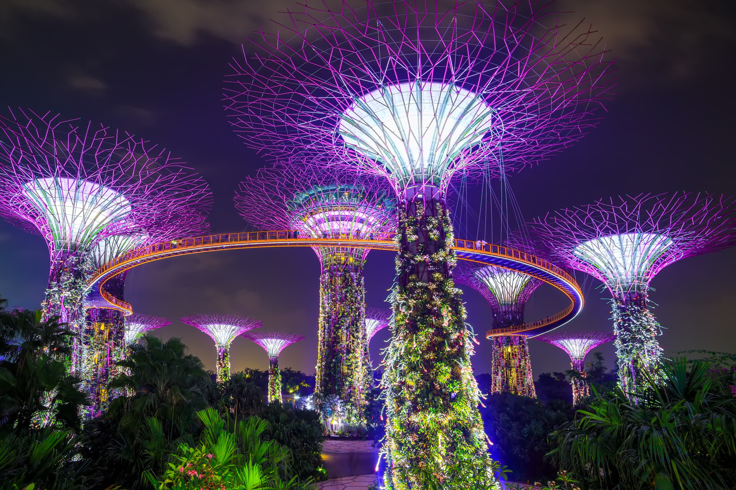 Experience Nature at Its Most Vibrant at Gardens by the Bay 