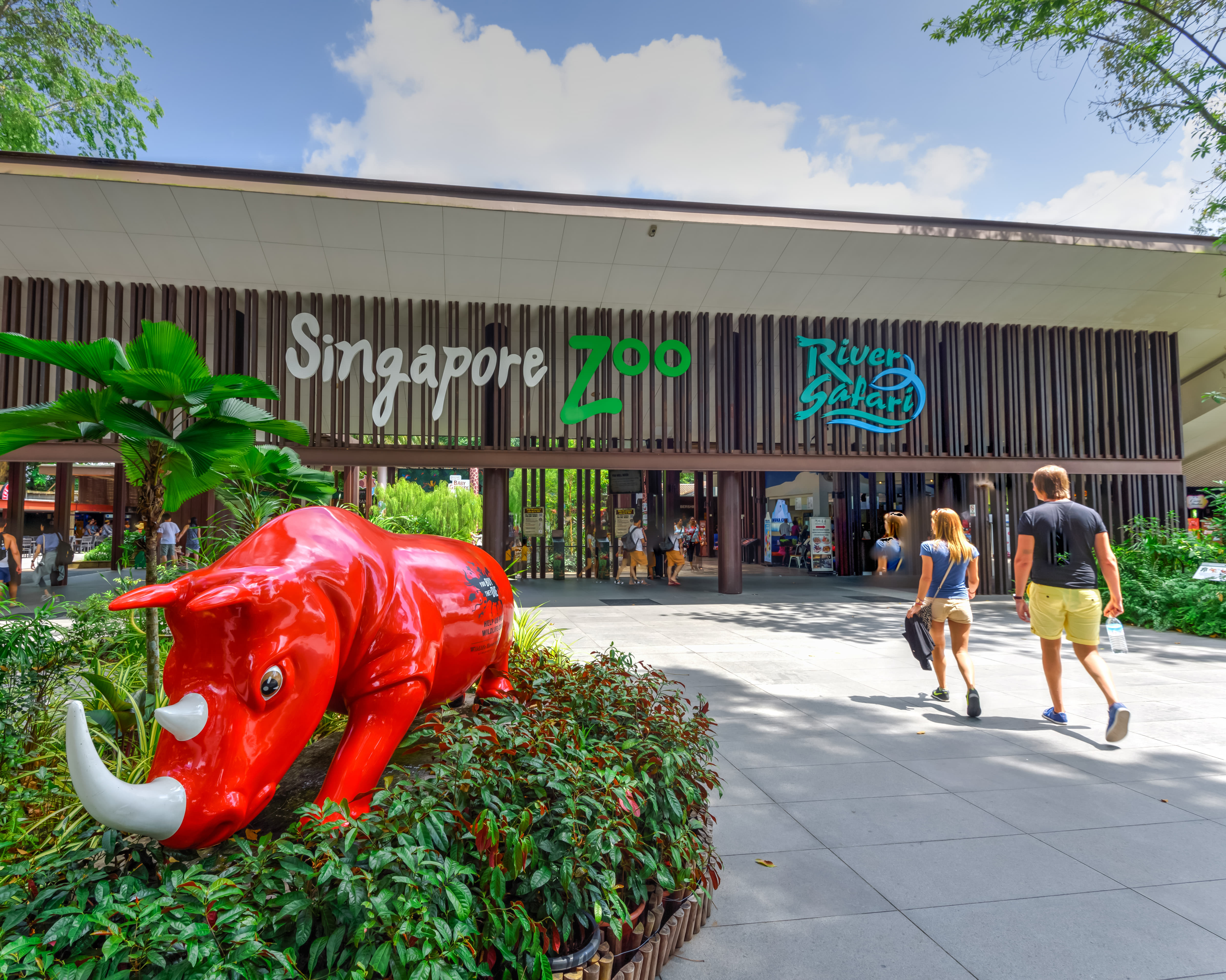 Visit Singapore Zoo