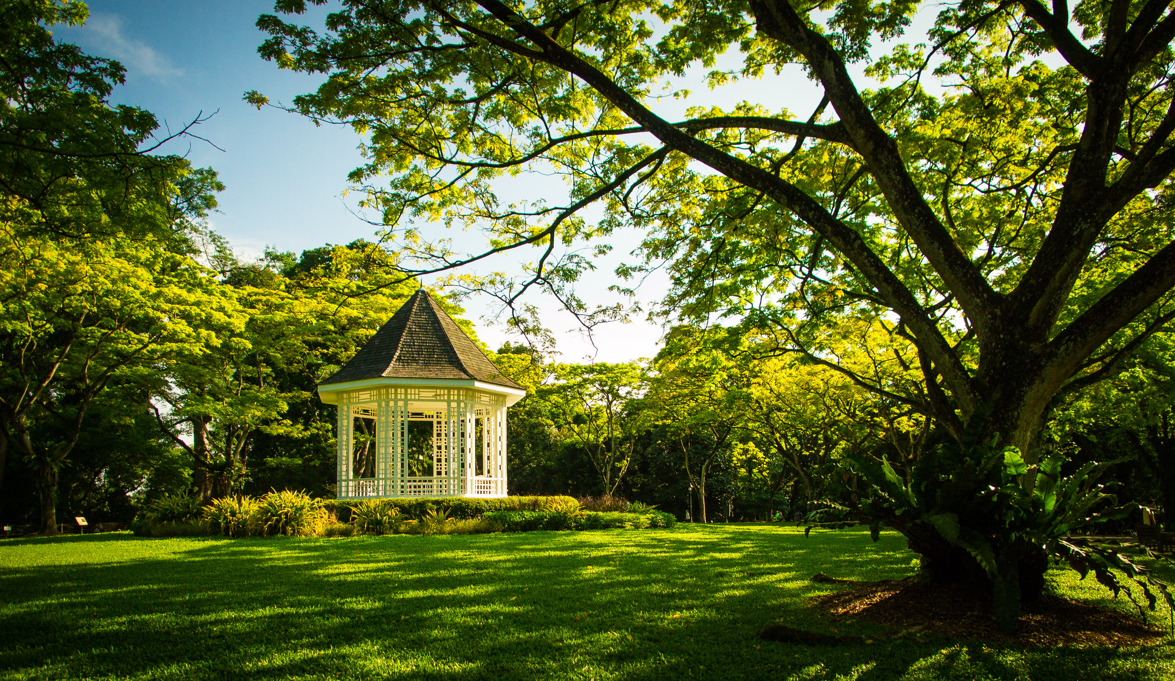 Singapore Botanic Gardens