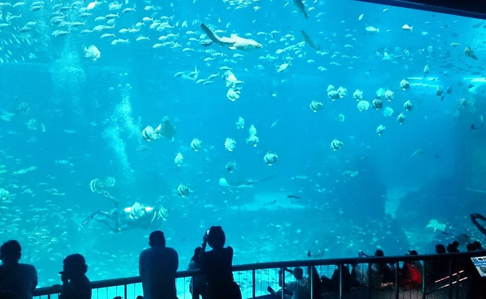 Learn New Things at The National Marine Laboratory