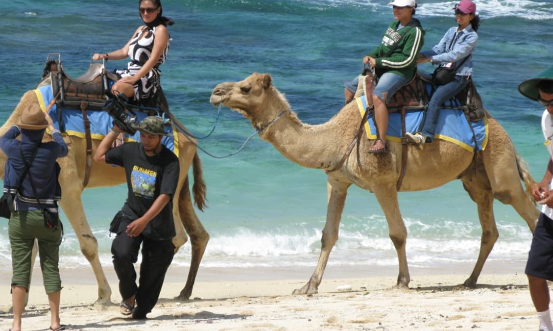 10 Things to Do in Nusa Dua Beach For a Perfect Vacation!