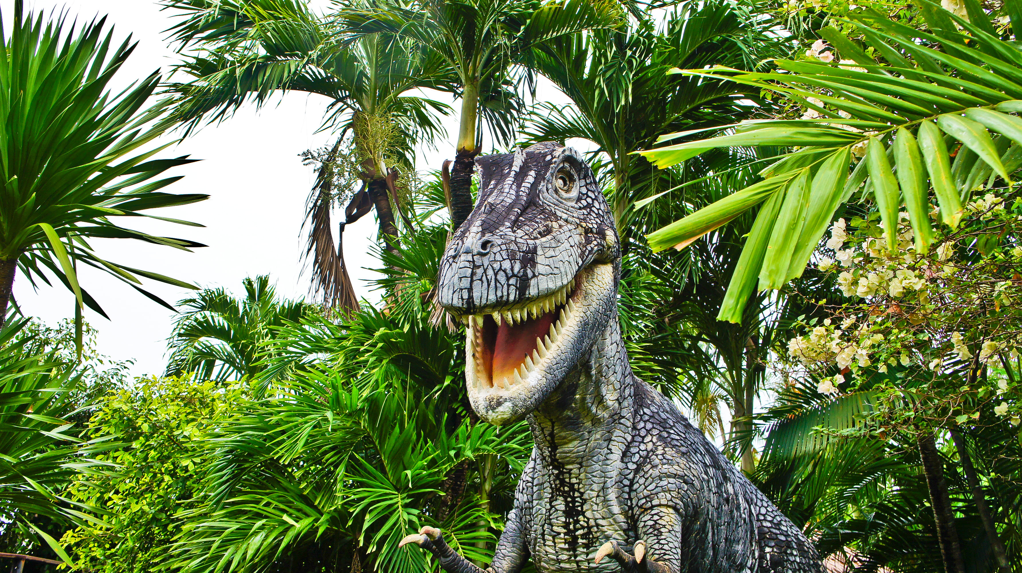 Play Miniature Golf at Dino Park