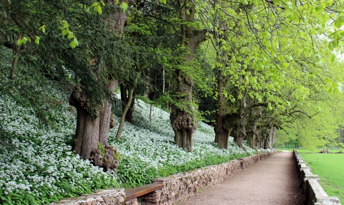 10 Things To Do Near Alton Towers For A Fun Outing In 2024