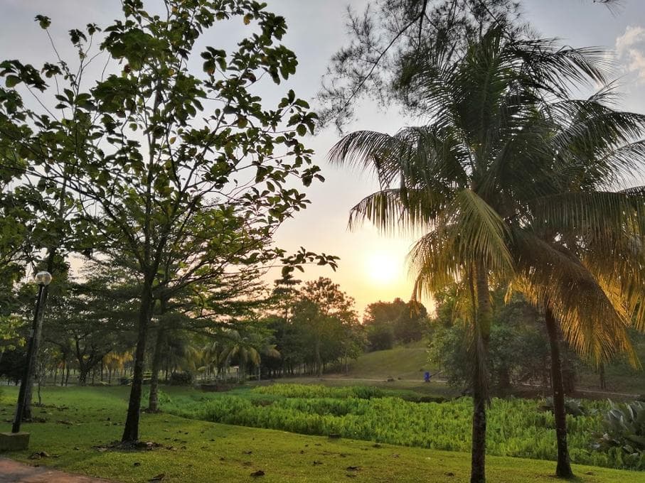 Ara Damansara Park