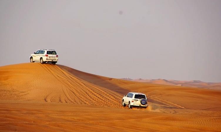 Desert Safari with BBQ Dinner