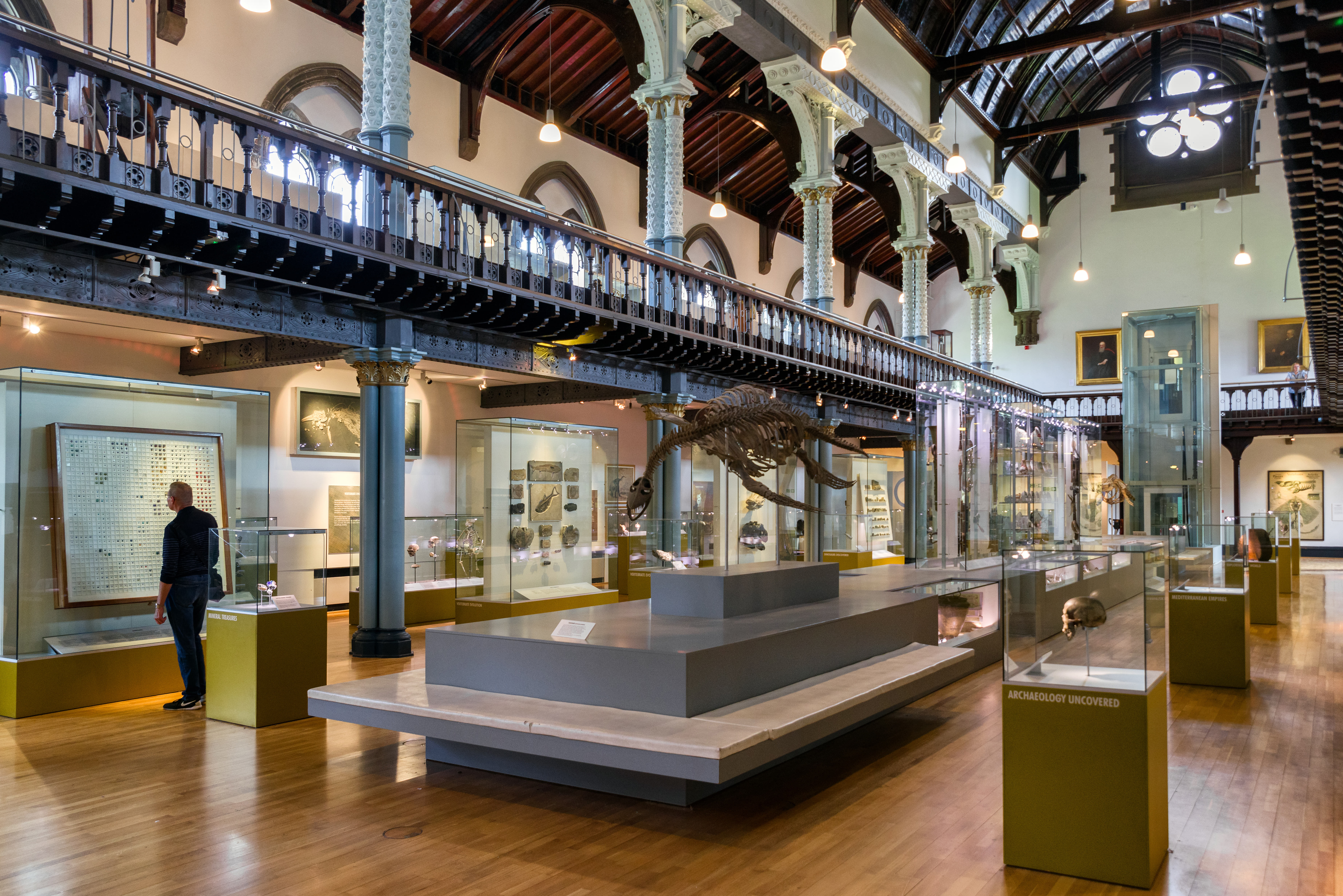 Discover Mummies And Dinosaur Bones At The Hunterian Museum