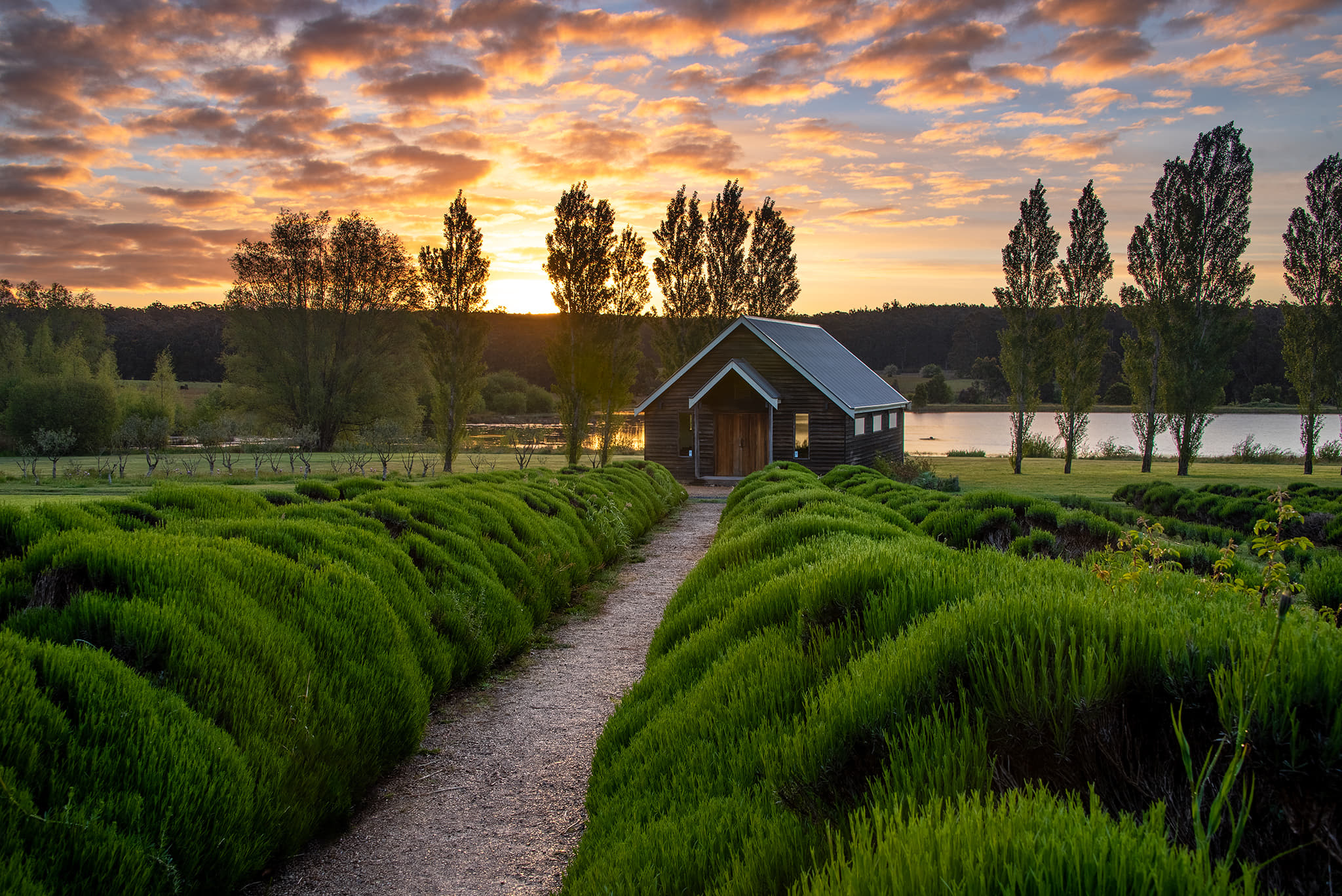 Witness Scenic Views from Daylesford