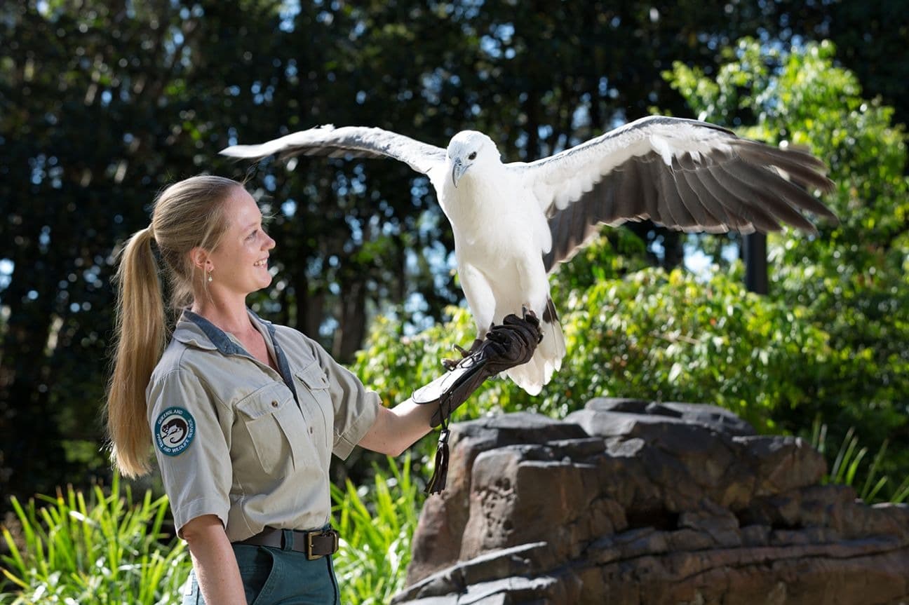 Visit David Fleay Wildlife Park