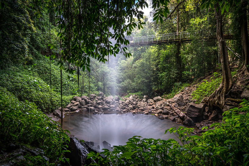 Crystal Shower Falls, Dorrigo National Park