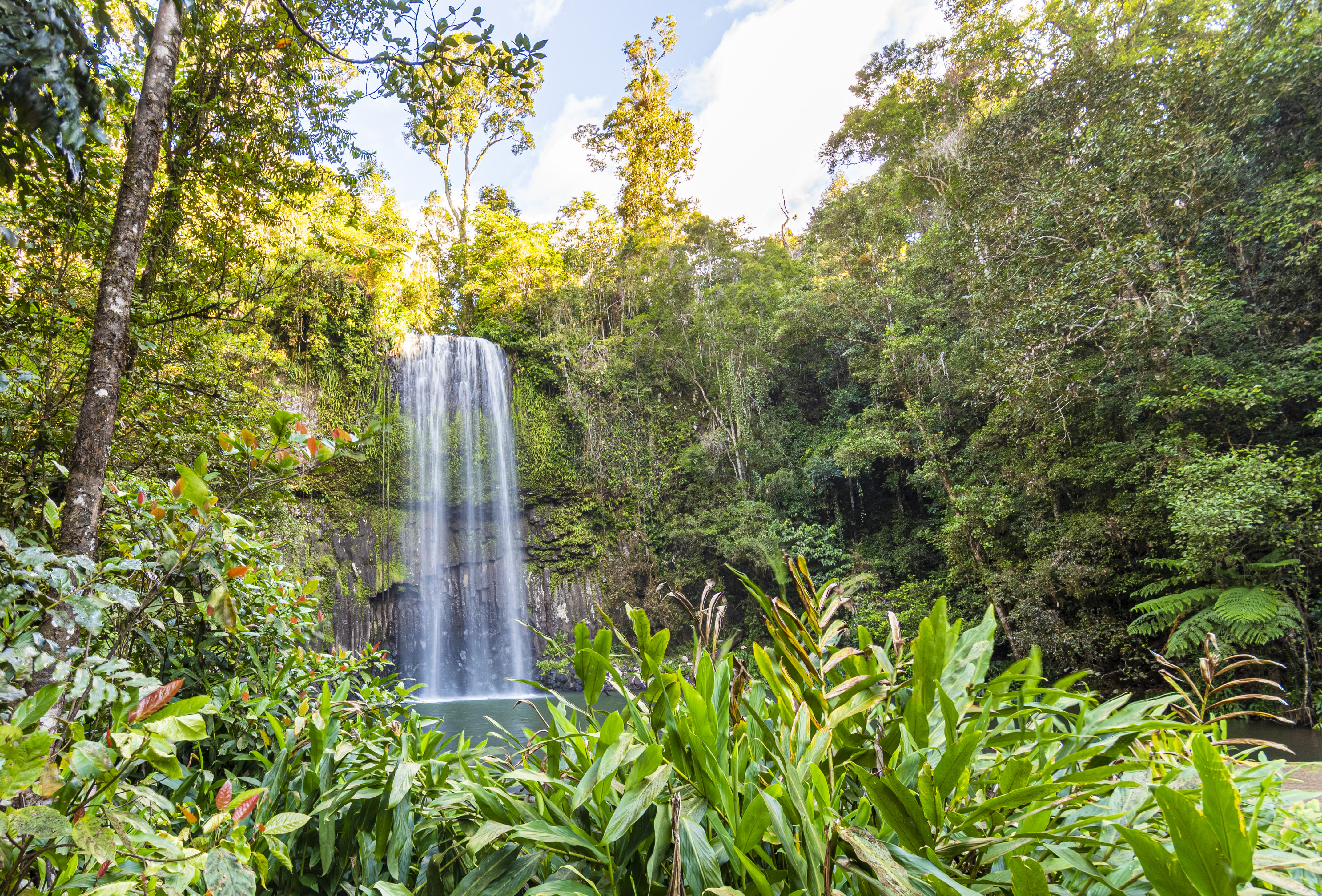 Millaa Millaa Falls, Millaa Millaa