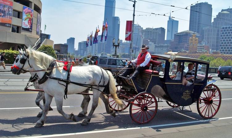 Take The Romantic Horse & Carriage Tour