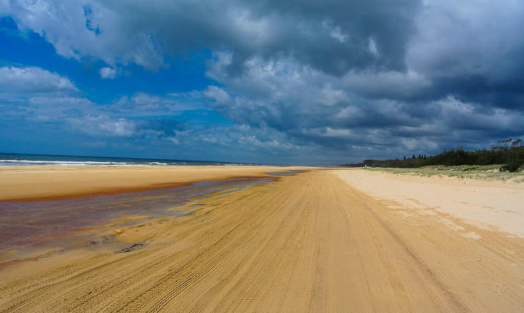 Visit the Fraser Island