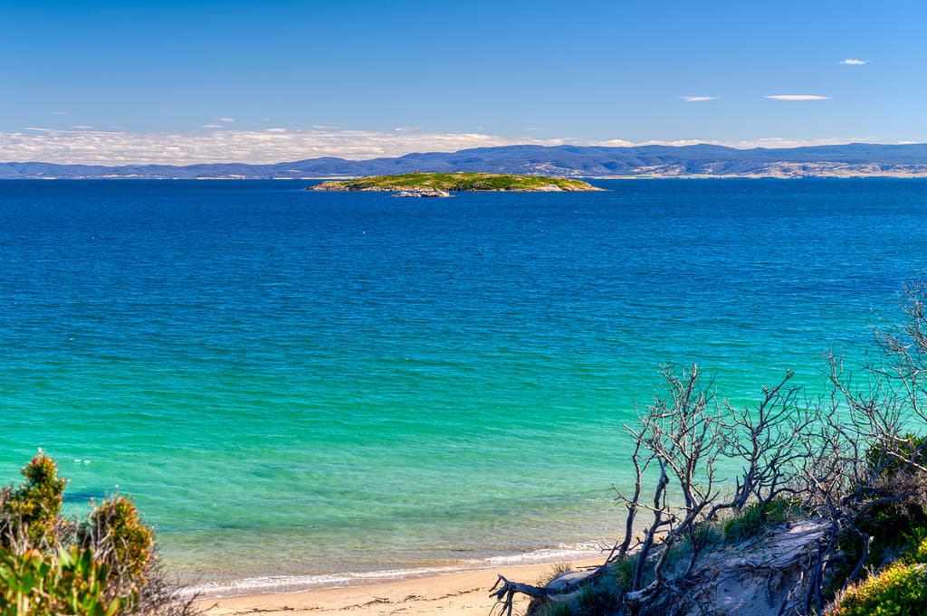 Discover the Penguin Island