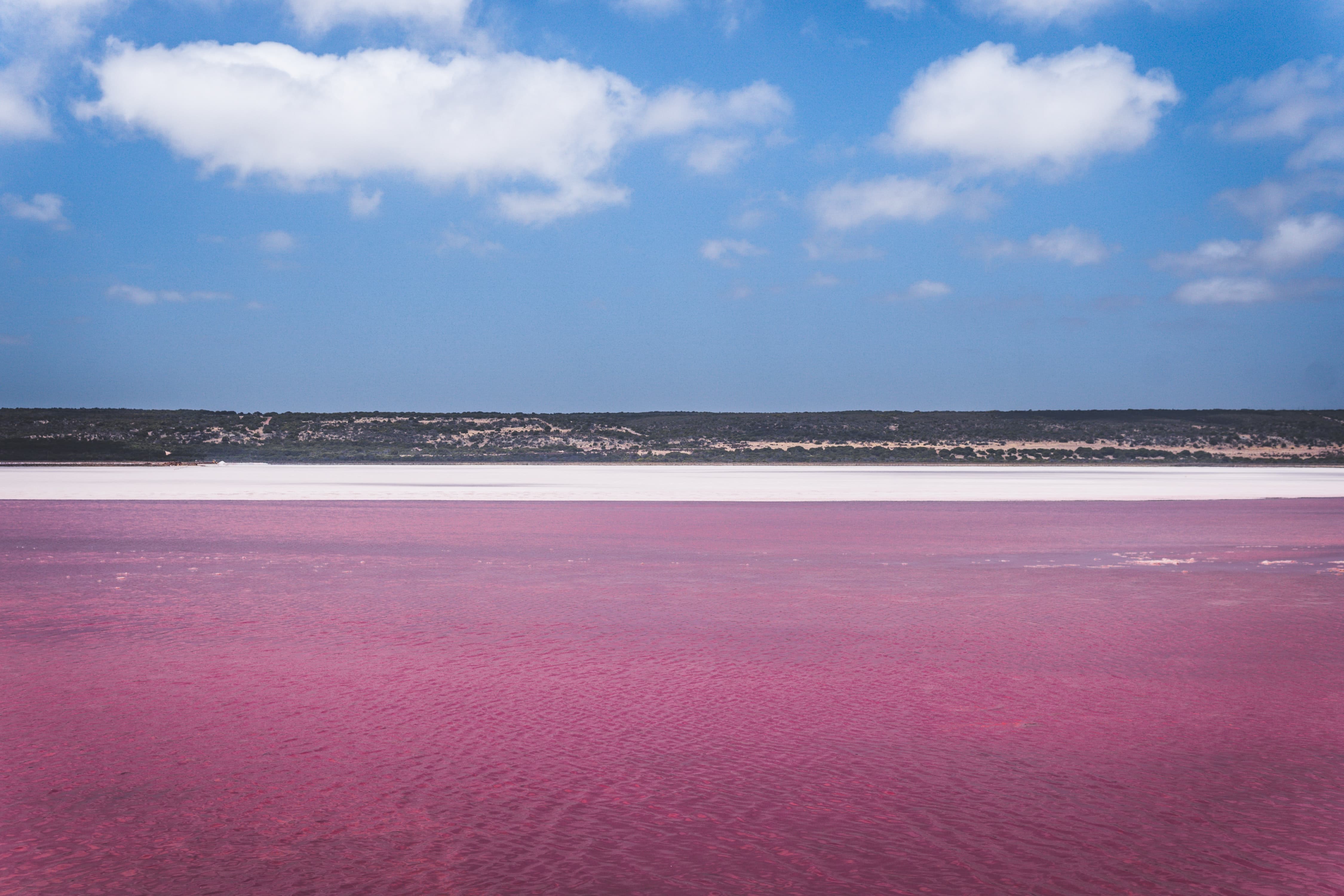 Visit the Pink Lake