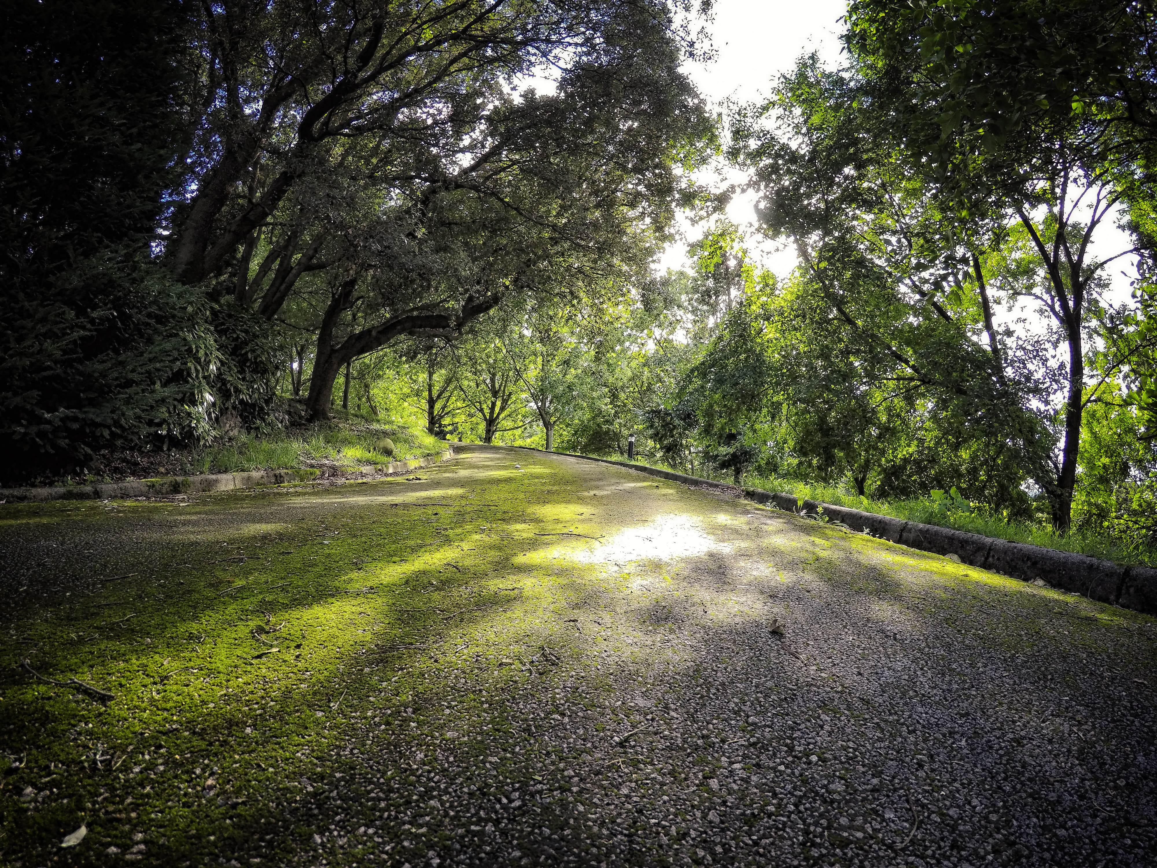 Cairns to Cape York, Qld