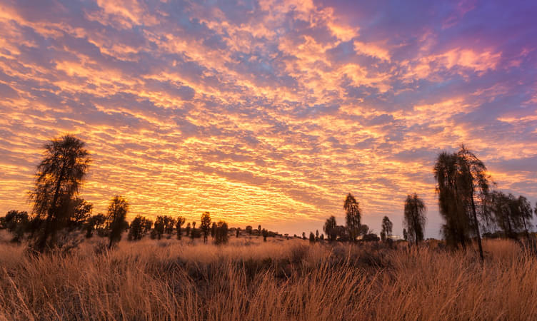 Watch the Sunrise at Uluru