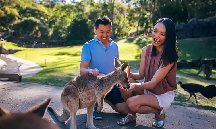 Spot Animals at Currumbin Wildlife Sanctuary