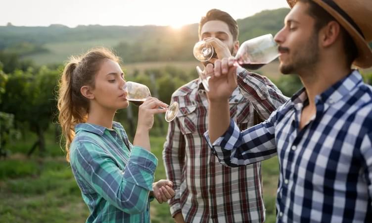 Go On Wine Tour With Your Partner