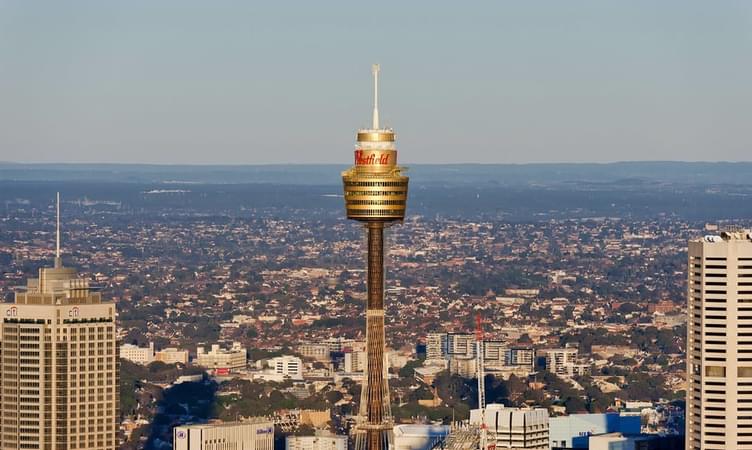  Witness Paranomic View Of Sydney Tower Eye