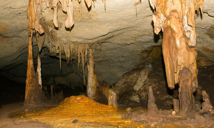 Explore the Naracoorte Caves