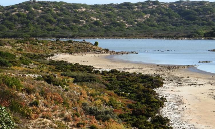 Discover the Coorong National Park