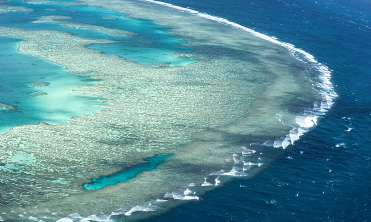 Dive into the Great Barrier Reef