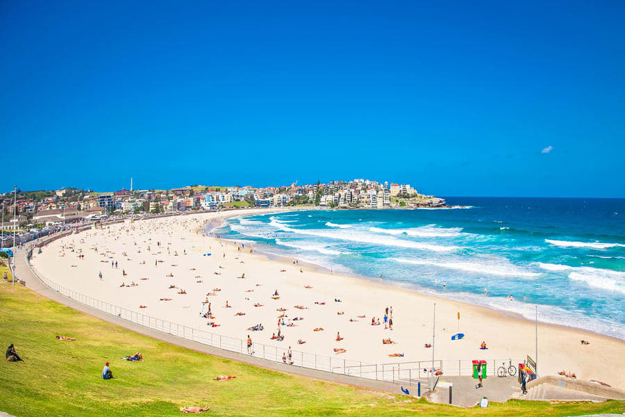 Bondi to Coogee Coastal Walking Tour