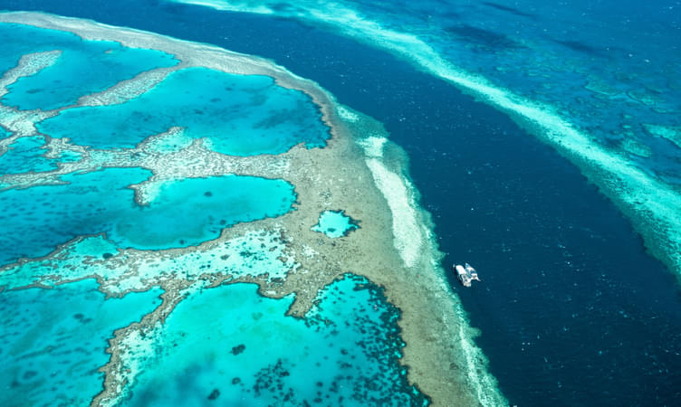 Explore the unique Great Barrier Reef