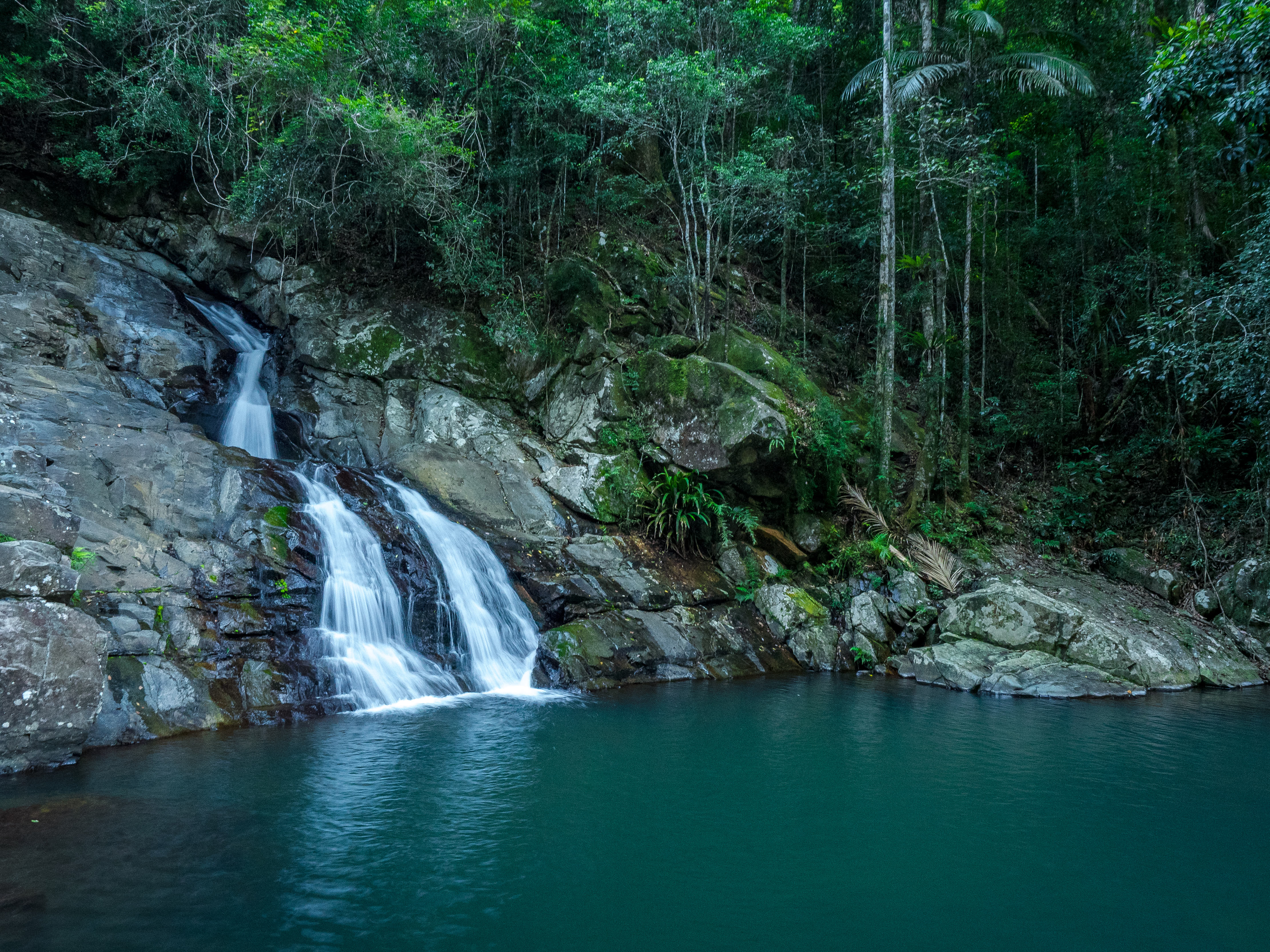 Cougal Cascades, Currumbin Valley
