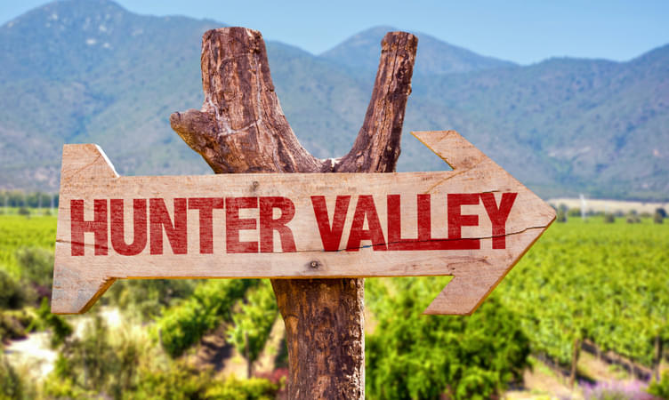 Take a Day Trip to Hunter Valley
