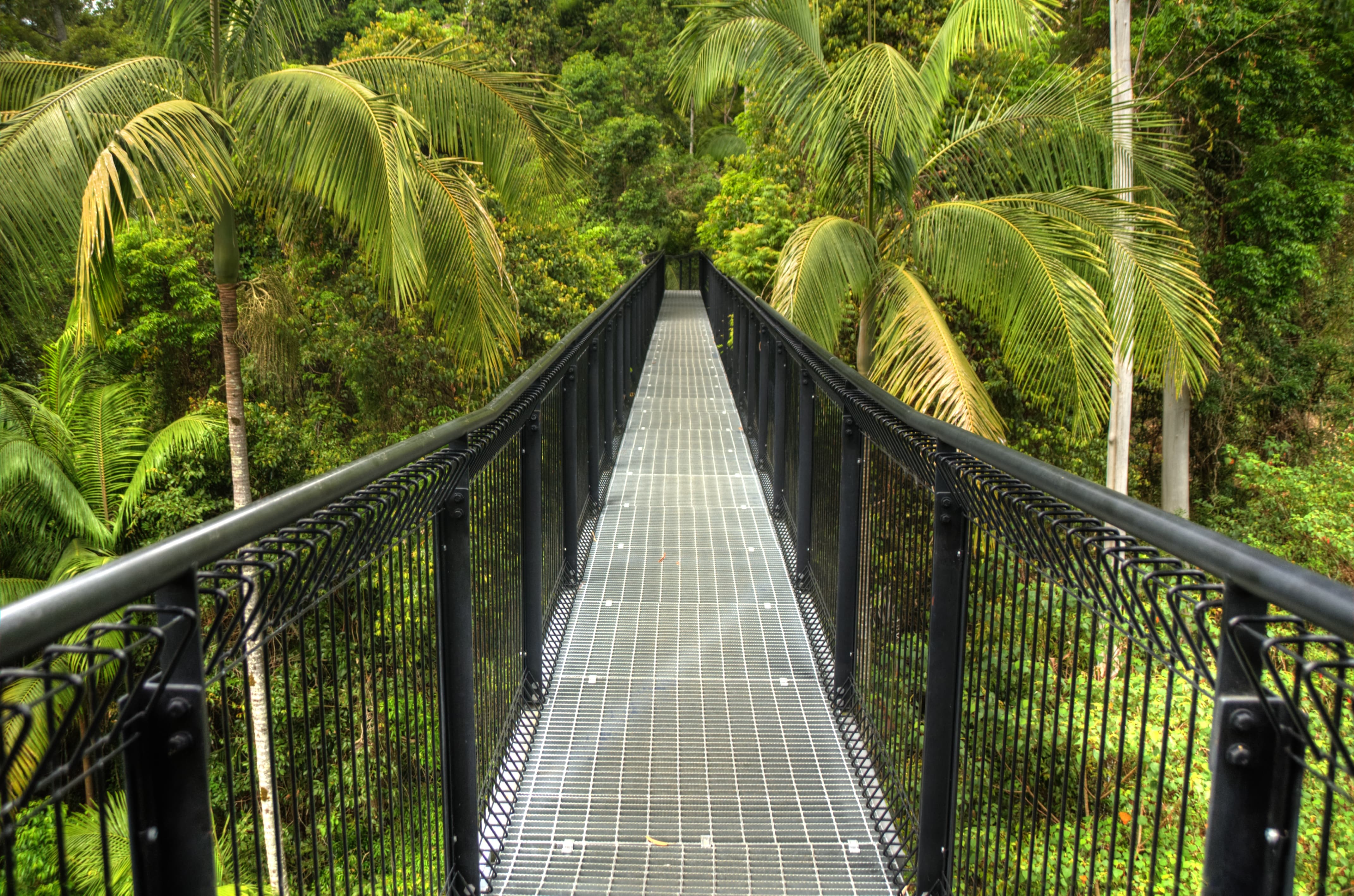Tamborine Mountain Walking Tour