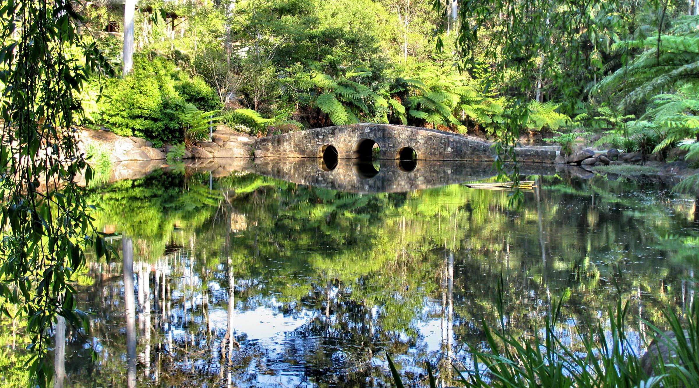 10 Things To Do In Mount Tamborine One Must Try!