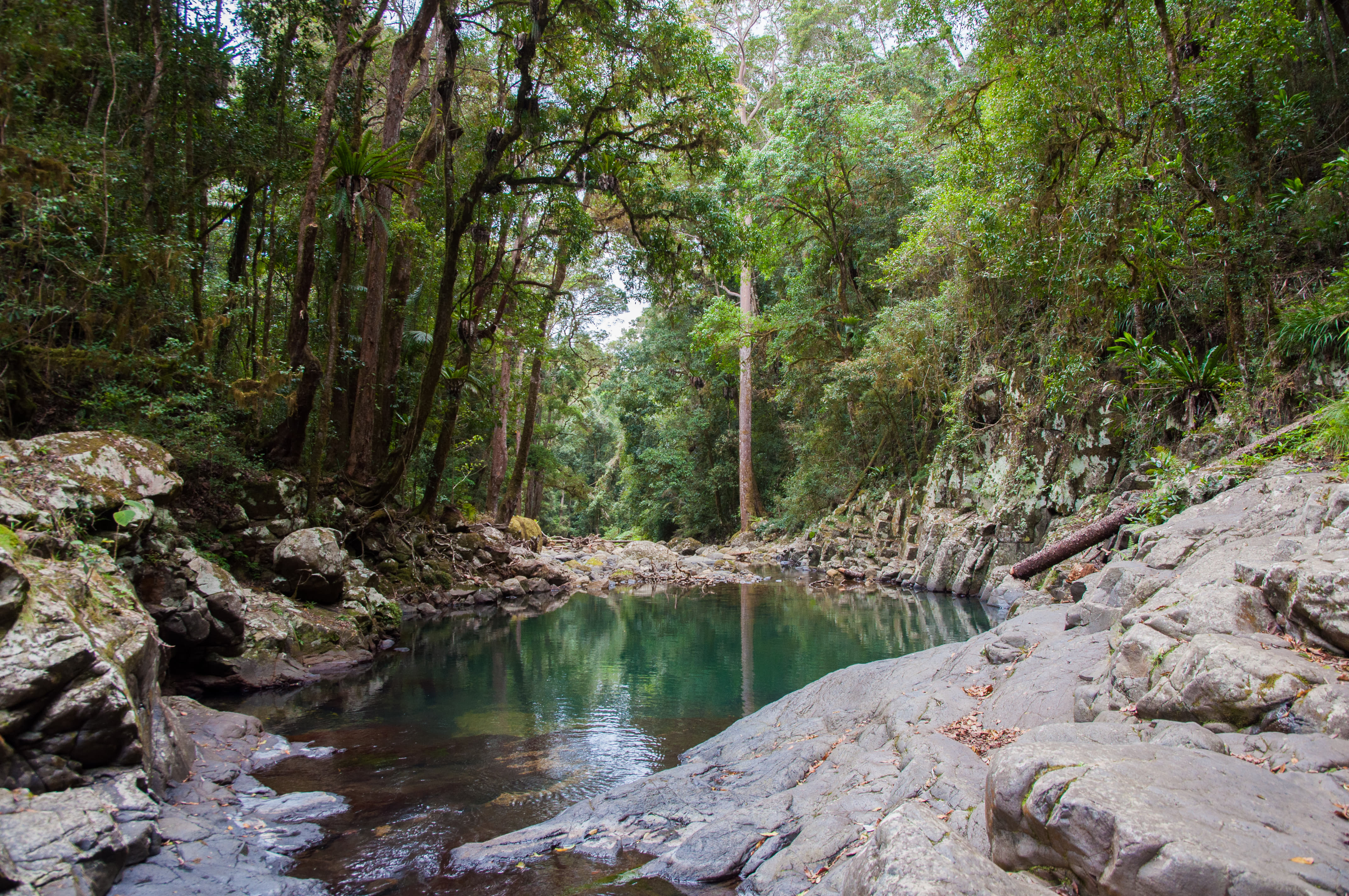 10 National Parks in Gold Coast: Paradise for All Animal Lovers!