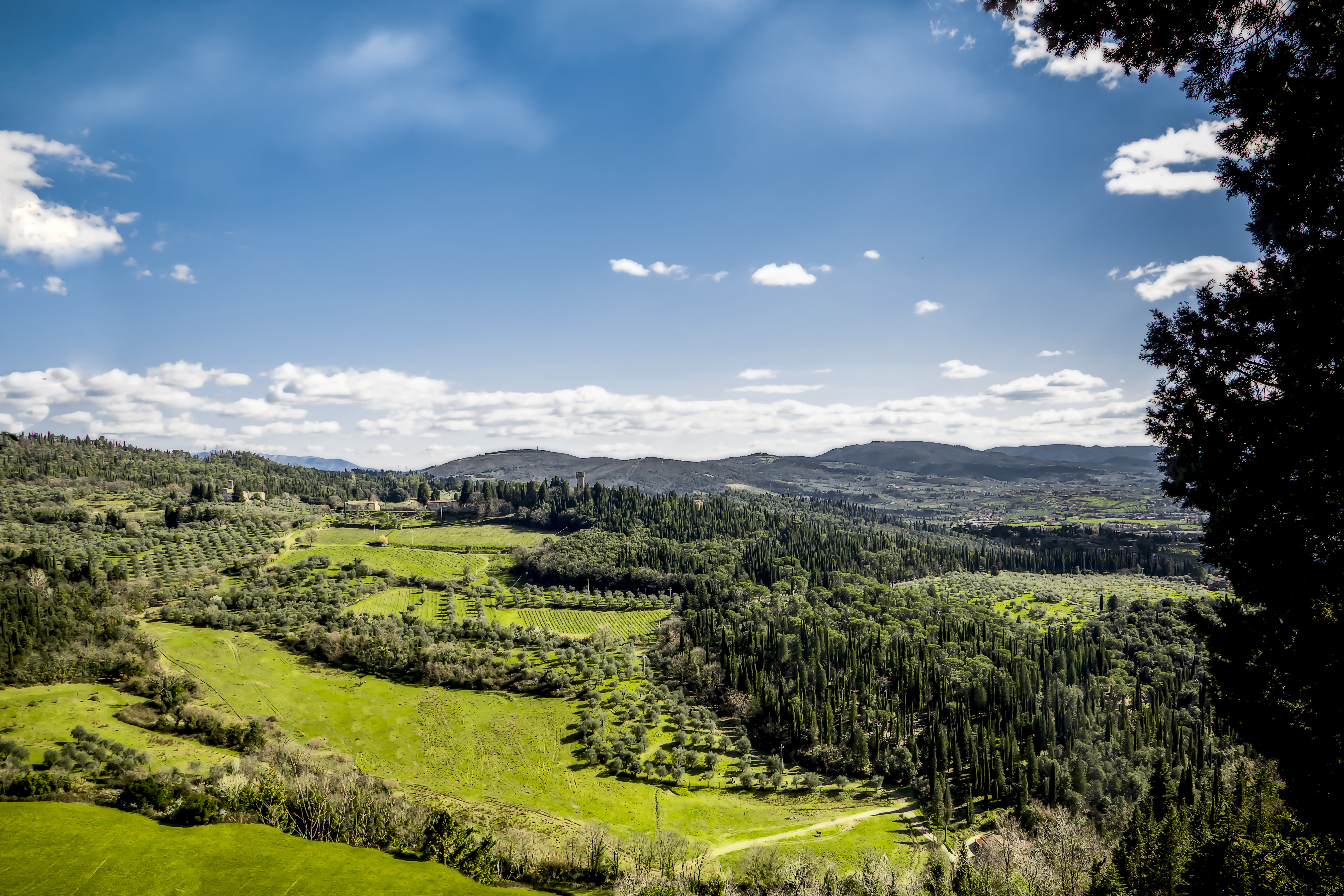 Climb The Hill Where Leonardo Tried To fly