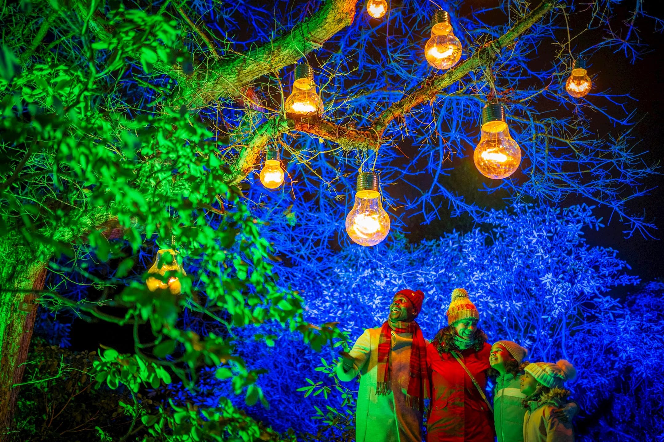 Discover The Edinburgh Botanic Gardens Light Trail