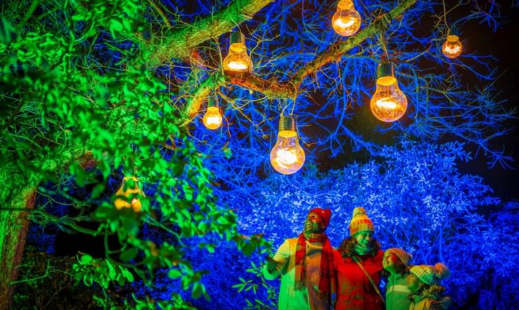 Discover The Edinburgh Botanic Gardens Light Trail