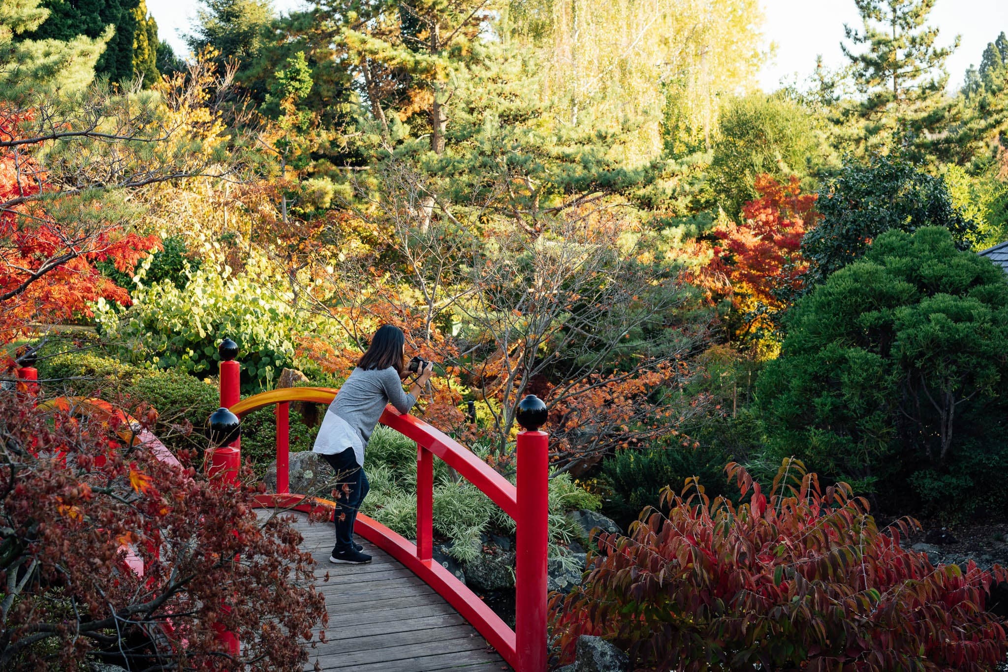 Visit Royal Tasmanian Botanical Gardens