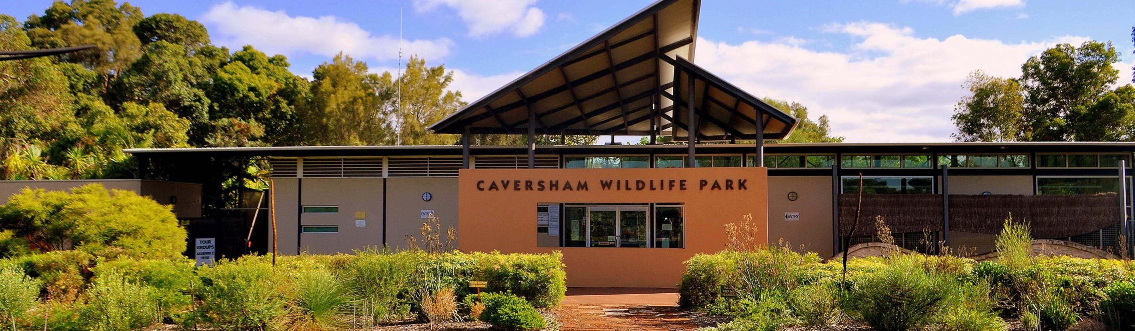 15 Things to Do in Perth with kids | Get UPTO 30% Off