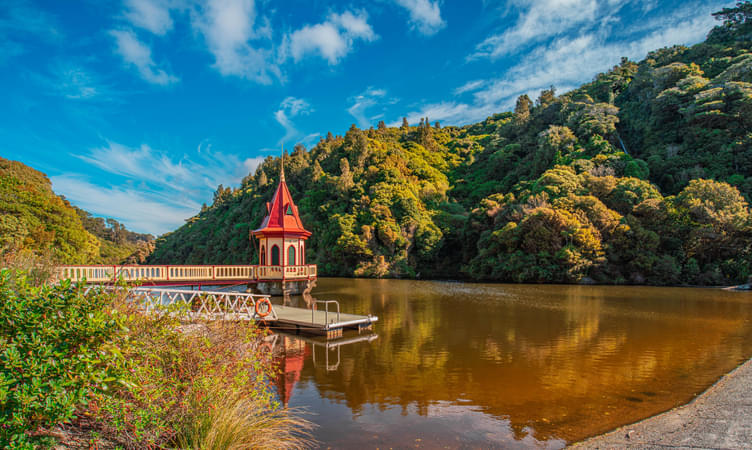 Discover the Zealandia Sanctuary
