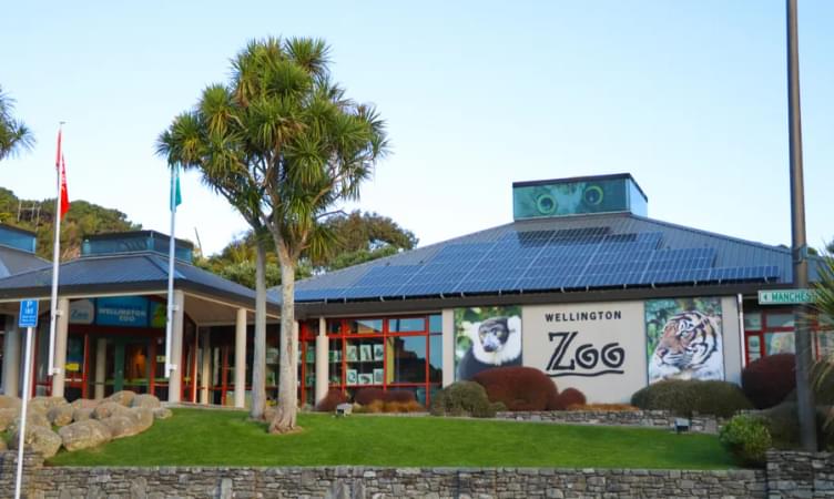 Go to the Wellington Zoo