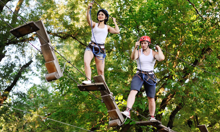 Journey to the Adrenalin Forest
