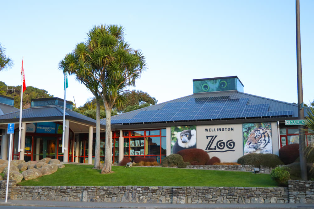 See Animal at Wellington Zoo